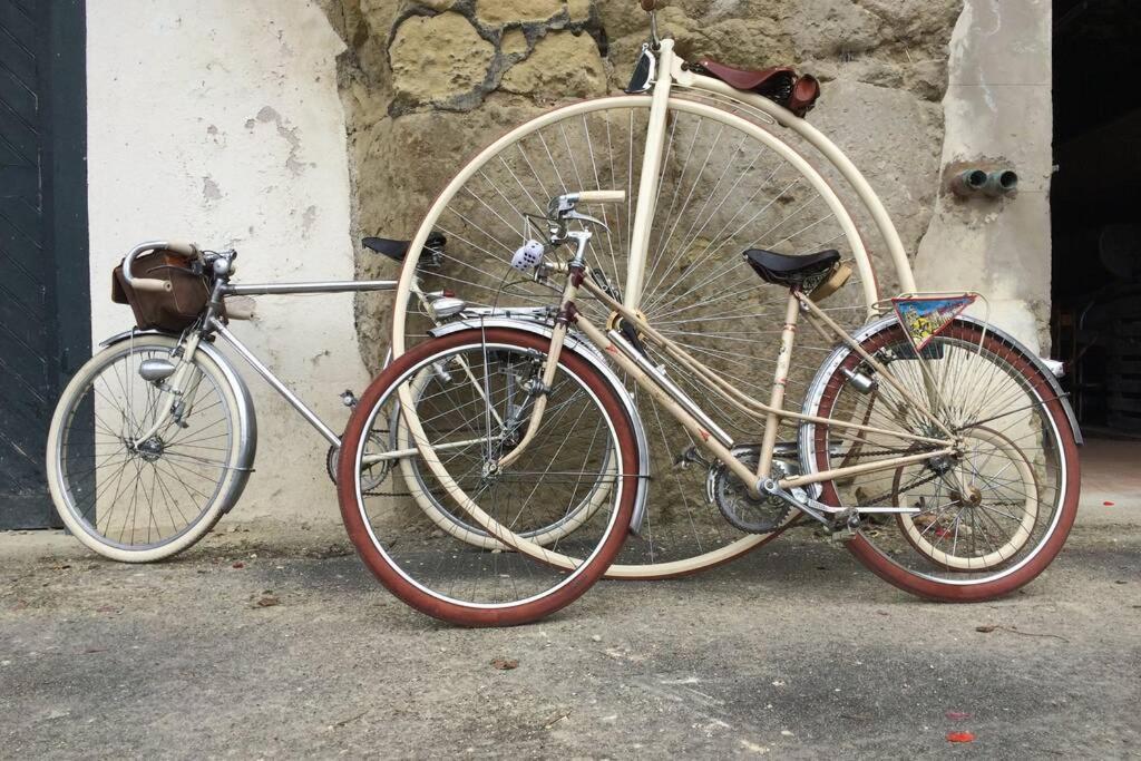Tour de France historique et châteaux de Loire Orléans Exterior foto